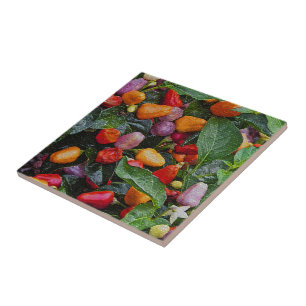 "DEKORATIVER TITEL MIT FARBEN ORNAMENALEN PAPRIKAS FLIESE