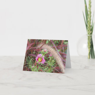 Dekoratives Herbstgras und rosa Kosmos Karte