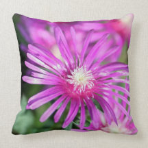 Dekoratives mit Blumenkissen