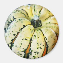 Dekoratives Zerfall Squash Kühlschrank Magnet