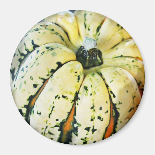Dekoratives Zerfall Squash Kühlschrank Magnet (Vorne)