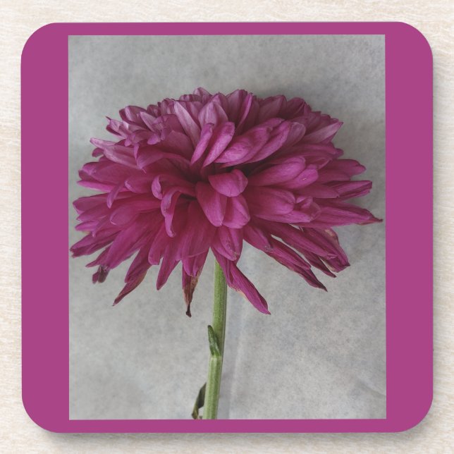 Dekorieren der Tabelleneinstellung Getränkeuntersetzer (Vorderseite)