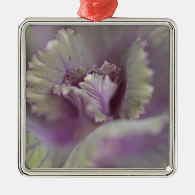 Dekorkohl Silbernes Ornament (Vorne)