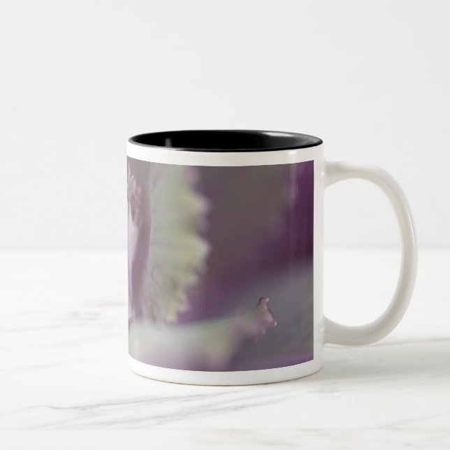 Dekorkohl Zweifarbige Tasse (Rechts)