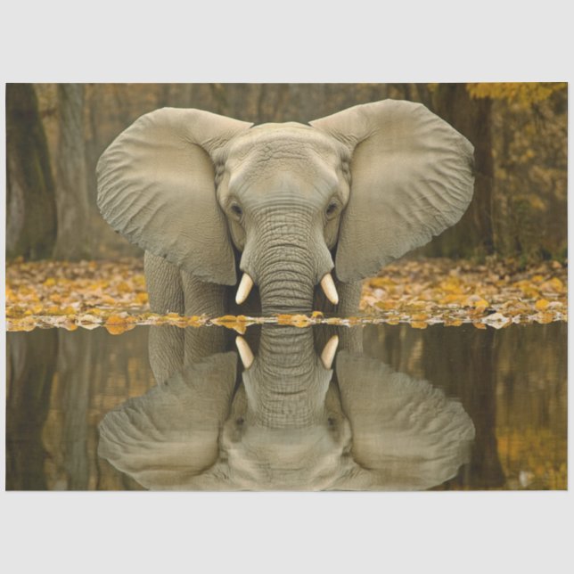 Dekoupage African Elephant Wildlife Digital Art Seidenpapier (Vorderseite)