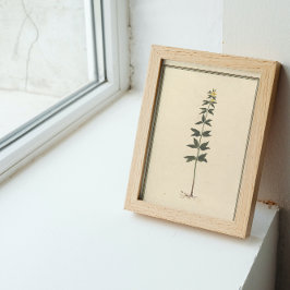 Dekoupage der botanischen Studie Seidenpapier