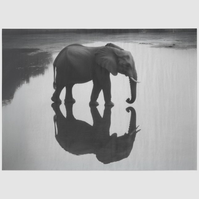 Dekoupage Majestic African Elephant & Reflection Seidenpapier (Vorderseite)