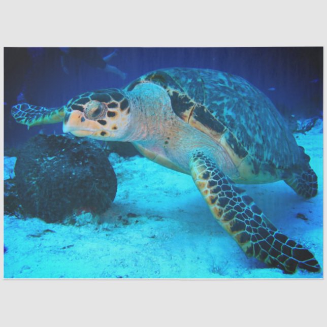Dekoupage Sea Turtle Tissue Paper Seidenpapier (Vorderseite)