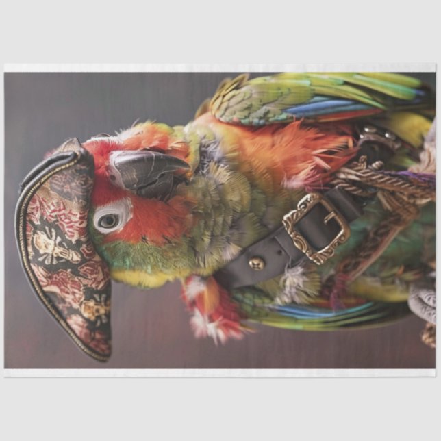 Dekoupage Whimsical Pirate Conure Parrot Seidenpapier (Vorderseite)