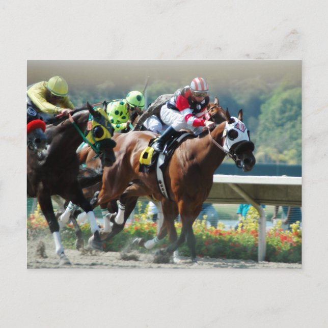 Del Mar Racetrack Postkarte (Vorderseite)