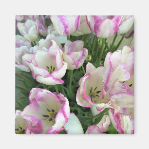 Del Piero Tulips Magnet