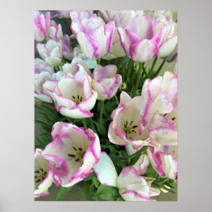Del Piero Tulips Poster