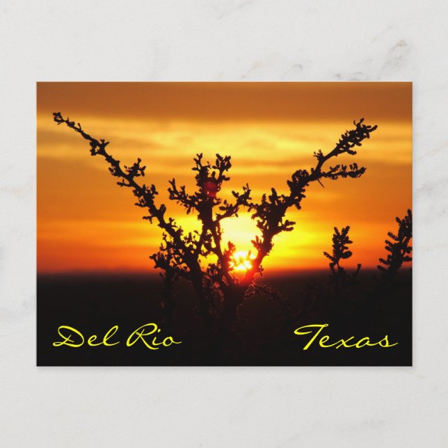 Del Rio Texas Brush Sunset Postcard Postkarte (Vorderseite)