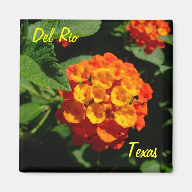 Del Rio Texas Magnet Lantana Blume (Vorne)