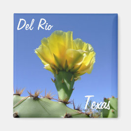 Del Rio Texas Souvenirs gelben Kakteen Blume. Magnet