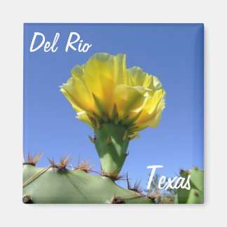 Del Rio Texas Souvenirs gelben Kakteen Blume. Magnet