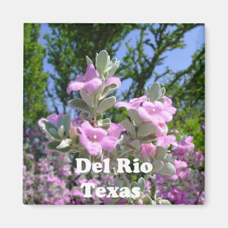 del rio texas souvenirs lila Salbei Magnet