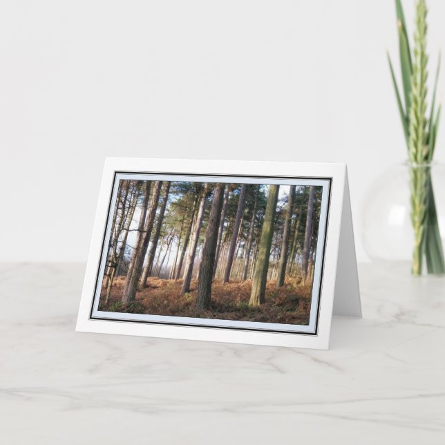 Delamere Forest Greetings Card Karte (Vorderseite)