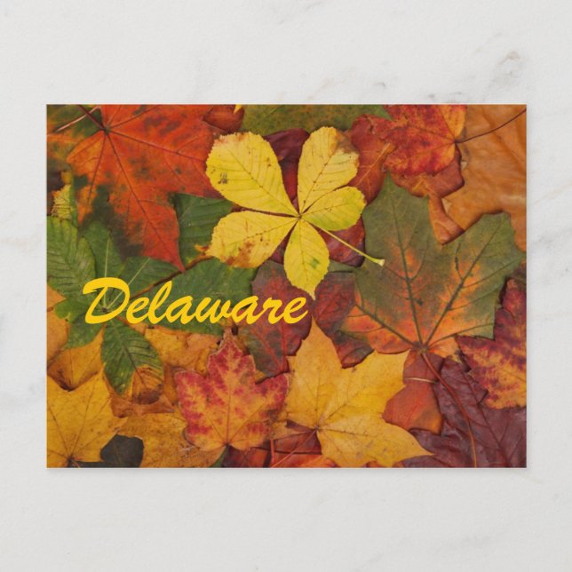 Delaware Autumn Leaves Postcard Postkarte (Vorderseite)