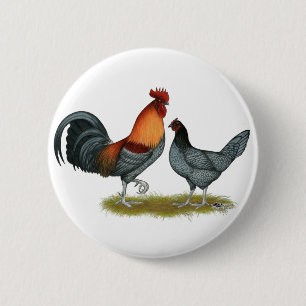 Delaware Blaue Henne Button