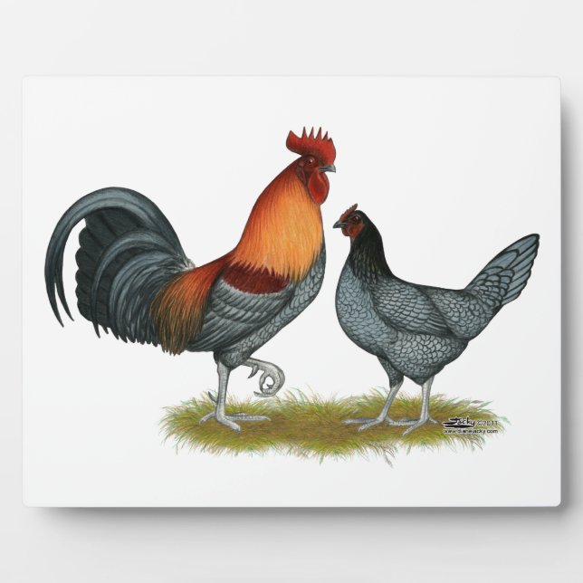Delaware Blue Hen Fotoplatte (Vorderseite)