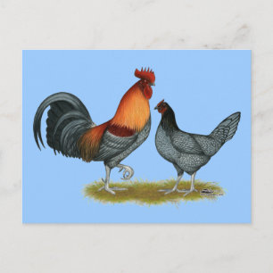 Delaware Blue Hen Postkarte