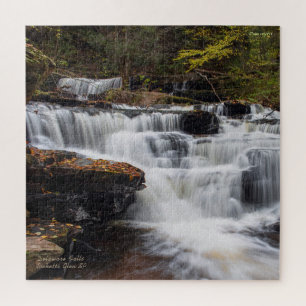 Delaware Falls - Herbst 2018 20"x20"