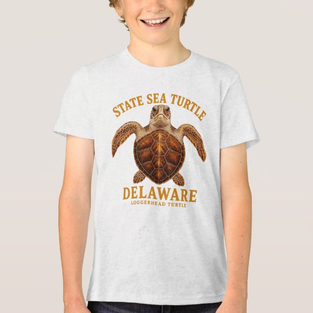 Delaware Loggerhead Stolz Tri-Blend Shirt (Vorderseite)