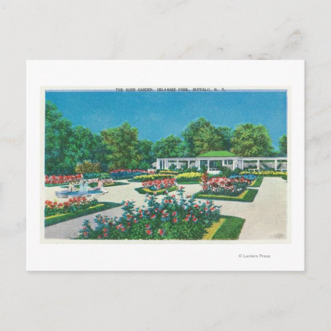 Delaware Park Rose Garden View Postkarte (Vorderseite)