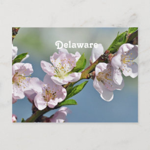 Delaware Postkarte