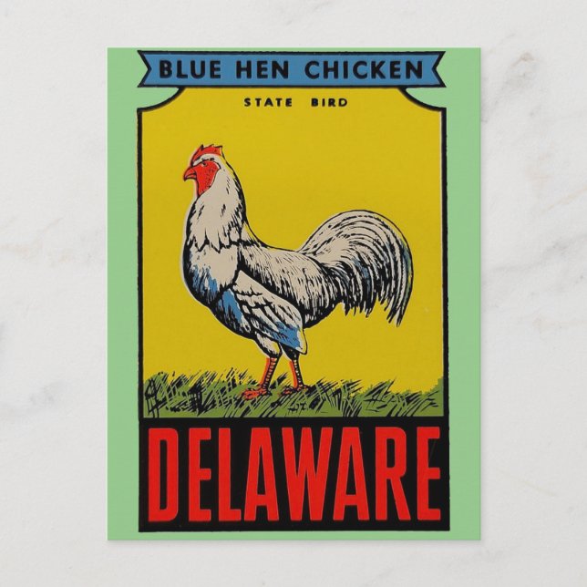 Delaware Staat Bird Postcard Postkarte (Vorderseite)