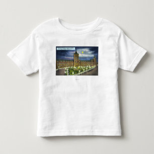 Delaware- und Hudsonco. Gebäude nachts Kleinkind T-shirt