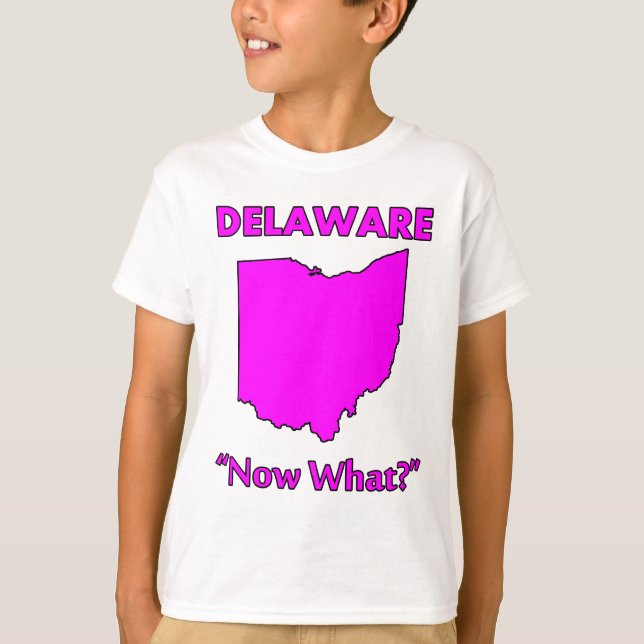 Delaware - Was nun? T-Shirt (Vorderseite)