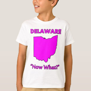 Delaware - Was nun? T-Shirt