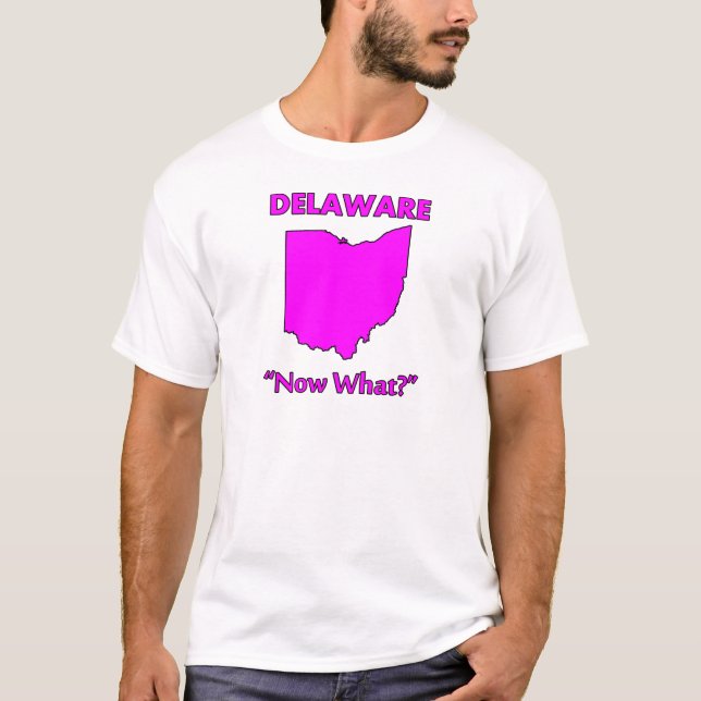 Delaware - Was nun? T-Shirt (Vorderseite)