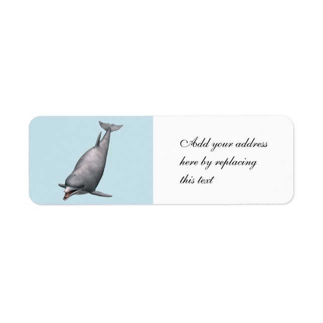 Delfin (Vorne)