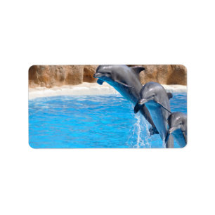 DELFIN ADRESSAUFKLEBER