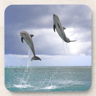 Delfin, Dauphin, groberes Tuemmler, Tursiops 2 Getränkeuntersetzer