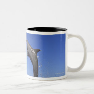 Delfin, Dauphin, groberes Tuemmler, Tursiops 3 Zweifarbige Tasse