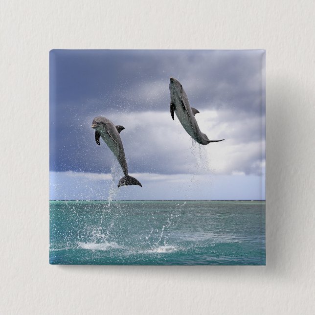 Delfin, Delphin, Grosser Tuemmler, Tursiops 2 Button (Vorderseite)