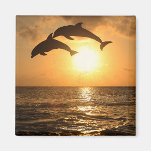 Delfin, Delphin, Großer Tuemmler, Tursiops Magnet