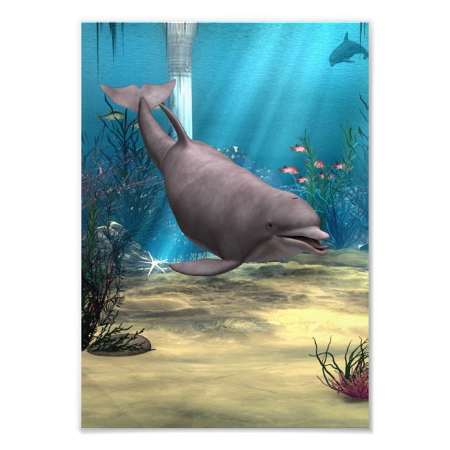 Delfin Fotodruck (Vorne)