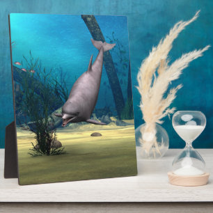 Delfin Fotoplatte