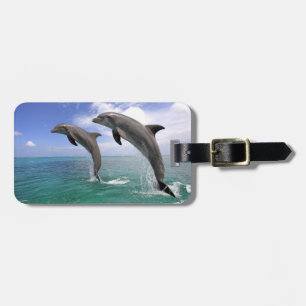 Delfin Gepäckanhänger