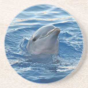 Delfin Getränkeuntersetzer
