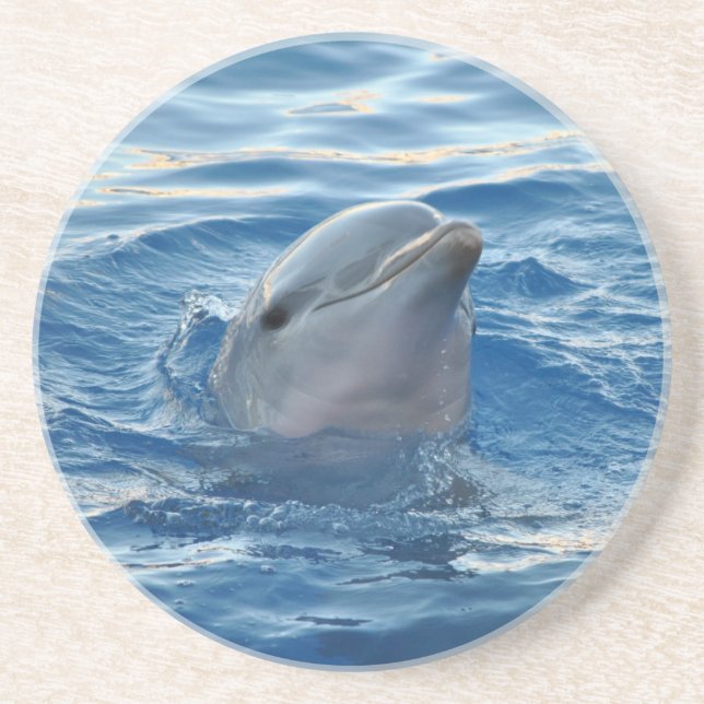 Delfin Getränkeuntersetzer (Vorne)