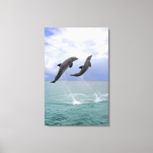 Delfin (groberes Tuemmler) Leinwanddruck