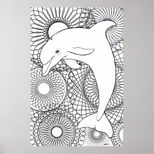 Delfin-Harmonie Poster