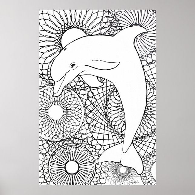 Delfin-Harmonie Poster (Vorne)