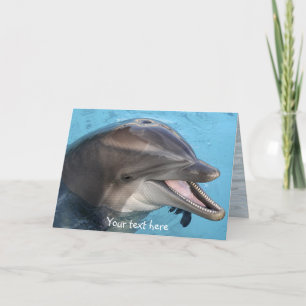 Delfin, Karte